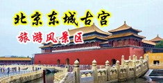 大鸡巴插入小屄流水电影在线免费观看中国北京-东城古宫旅游风景区